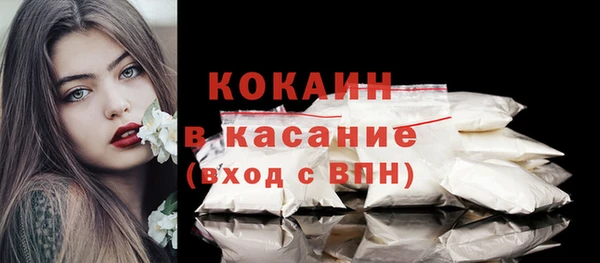 прущий лед Богданович