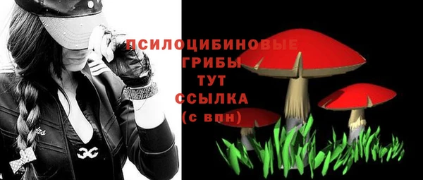 прущий лед Богданович