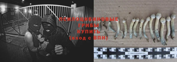 прущий лед Богданович
