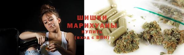 прущий лед Богданович