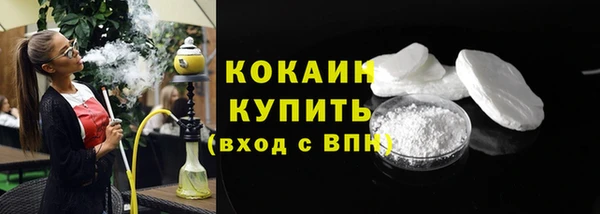 прущий лед Богданович