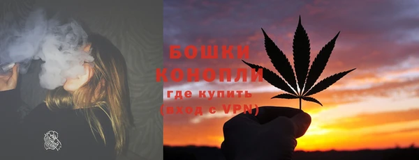 прущий лед Богданович