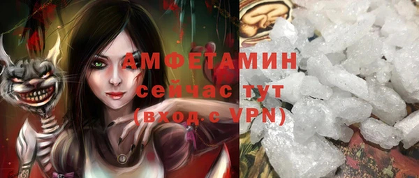 прущий лед Богданович