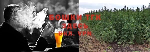 ГАЛЛЮЦИНОГЕННЫЕ ГРИБЫ Покров