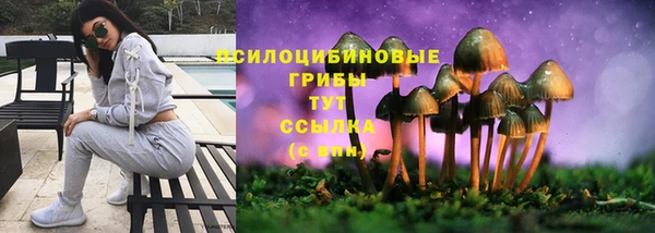 мет Богородицк