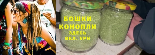 прущий лед Богданович
