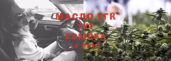 прущий лед Богданович