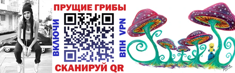 Псилоцибиновые грибы Psilocybe дарк нет формула Корсаков